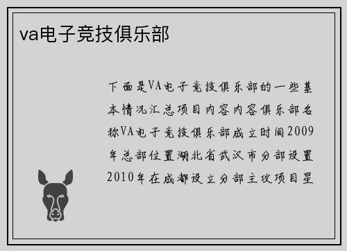 va电子竞技俱乐部